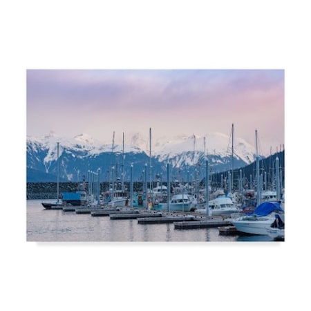 Brenda Petrella Photography Llc 'Harbor In Haines' Canvas Art,22x32